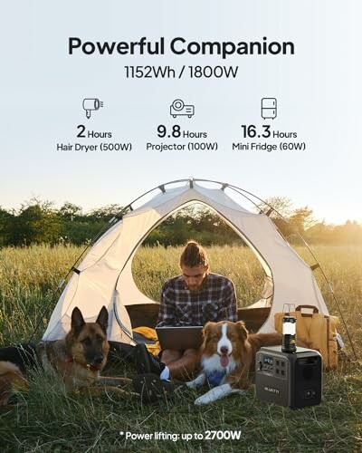 Person with dogs using a laptop near a tent with portable power station.
